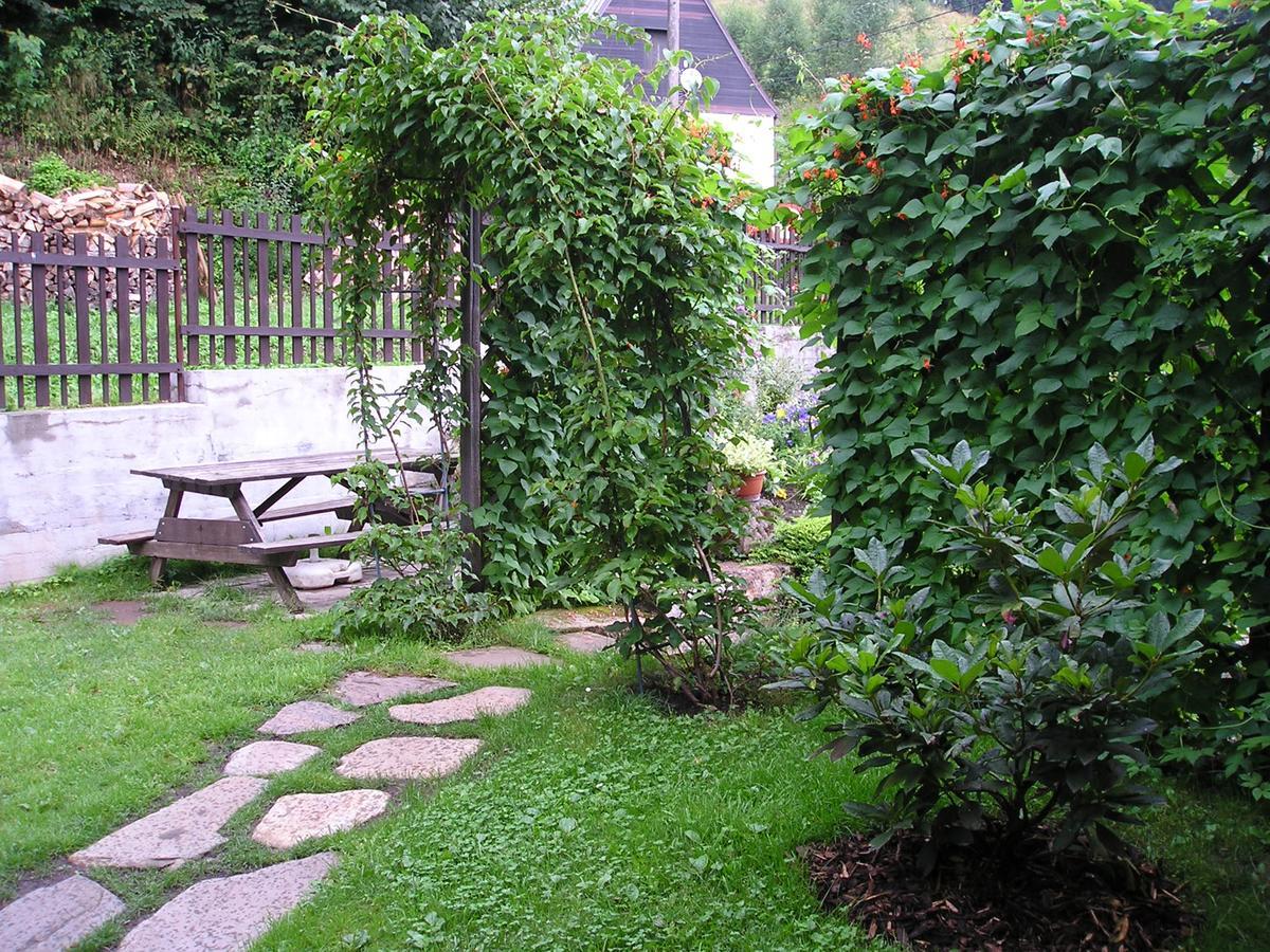 Apartman Svoboda Svoboda nad Úpou Extérieur photo